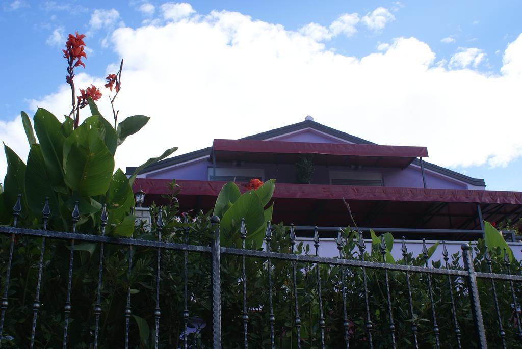 Aparthotel Viola Pjescana Uvala Ngoại thất bức ảnh