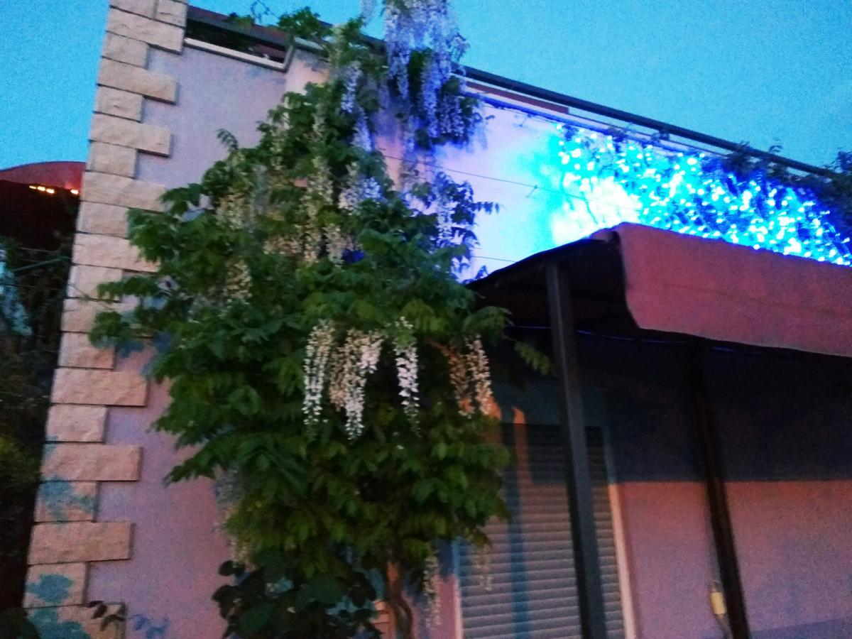 Aparthotel Viola Pjescana Uvala Ngoại thất bức ảnh
