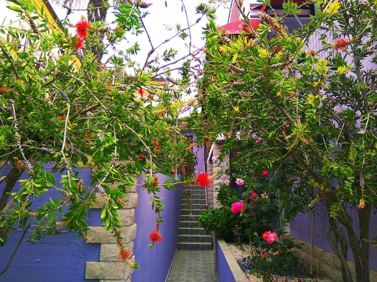Aparthotel Viola Pjescana Uvala Ngoại thất bức ảnh